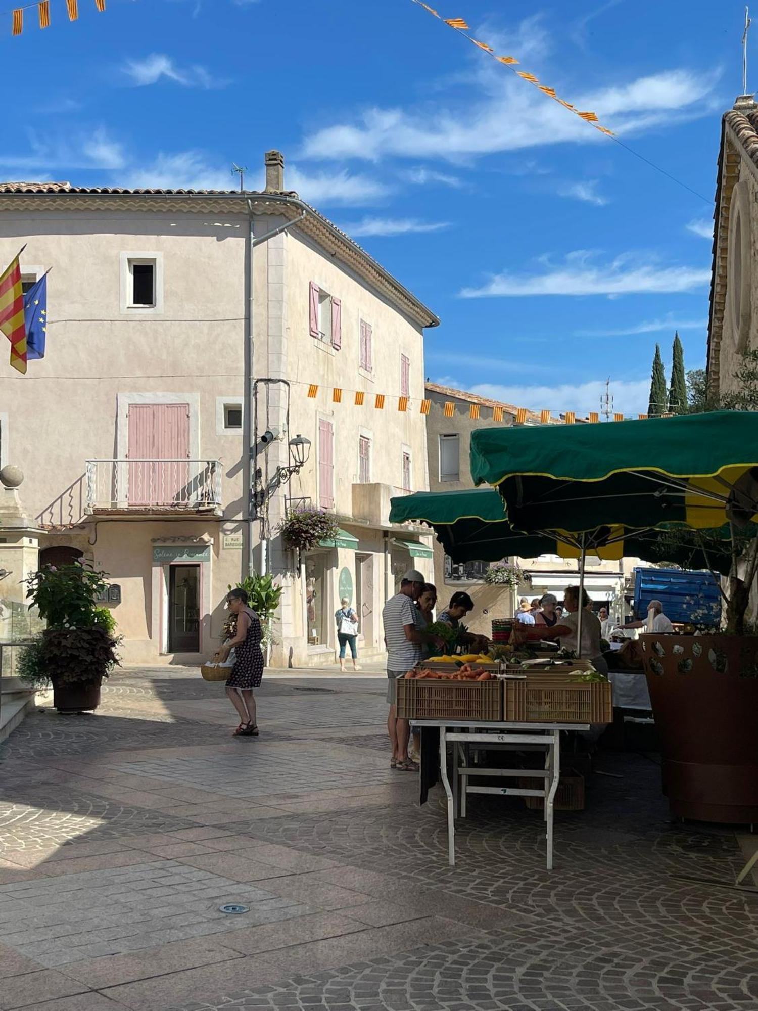 Coeur De Provence Apartment Gréoux-les-Bains Екстериор снимка